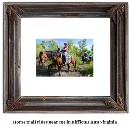 horse trail rides near me in Difficult Run, Virginia